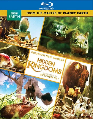 Hidden Kingdoms - USED