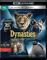 Dynasties - USED