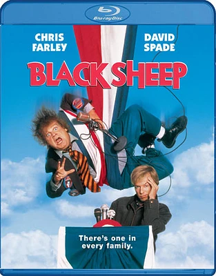 Black Sheep - USED