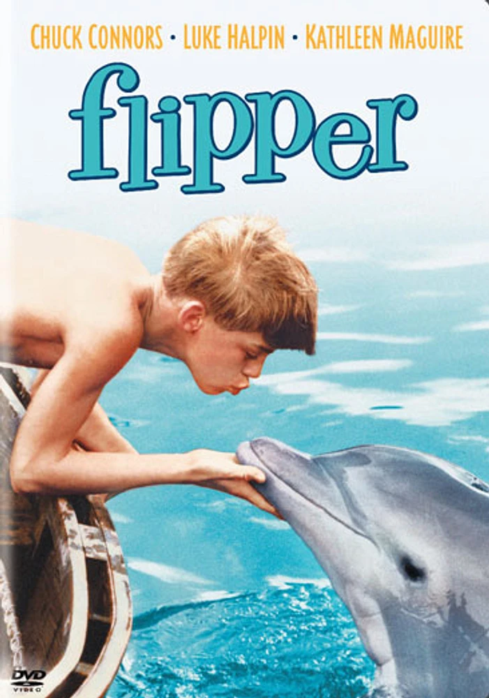 Flipper - USED