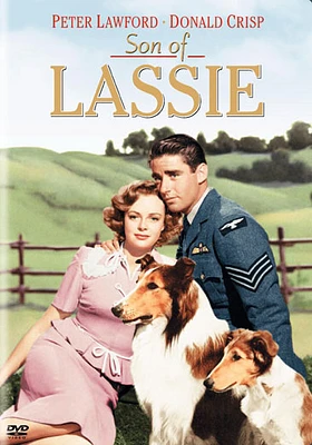 Son Of Lassie - USED