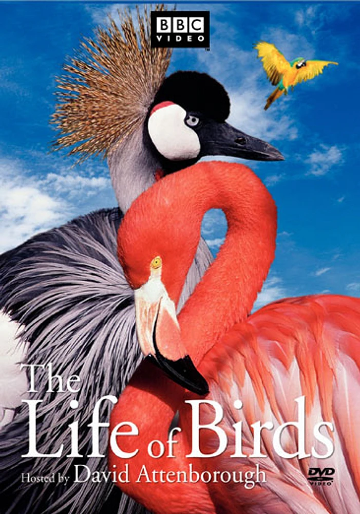 The Life Of Birds - USED