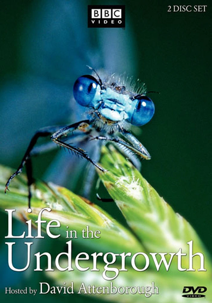 Life in the Undergrowth - USED