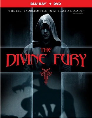 The Divine Fury - USED