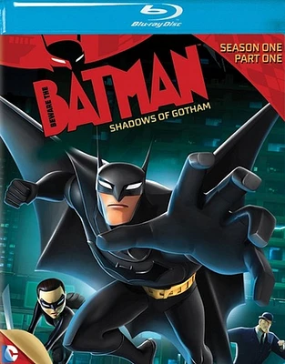 Beware the Batman: Shadows of Gotham Season 1, Part 1 - USED