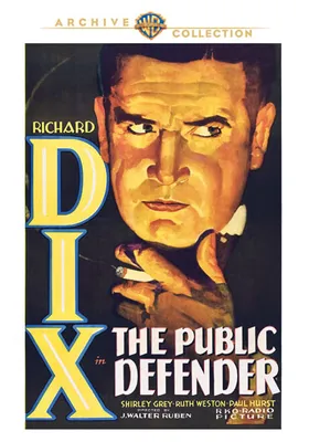 The Public Defender