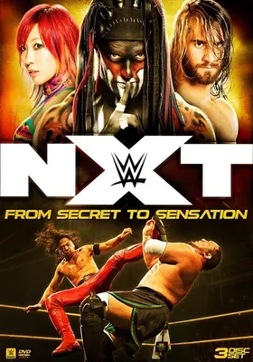 WWE NXT: From Secret to Sensation