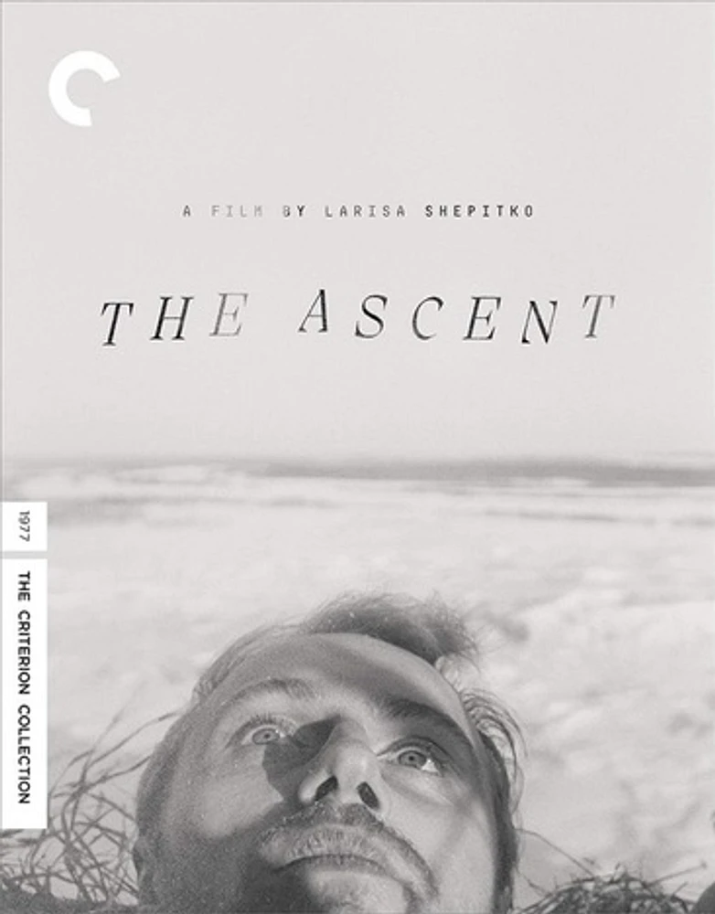 The Ascent - USED