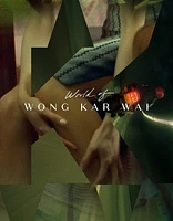 The World of Wong Kar Wai - USED