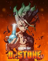 Dr. Stone: Season 1, Part 2