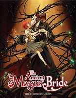 Ancient Magus Bride: The Complete Series - USED