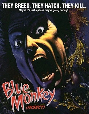 Blue Monkey - USED