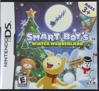 SMART BOYS WINTER WONDERLAND - Nintendo DS - USED