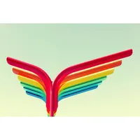 Photographie d'art d'Eric Dufour 40x60 cm sur plexi BIRDY