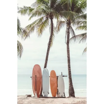 Tableau sur toile surf et palmier 30x45cm SURF