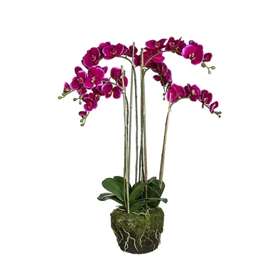 Orchidée artificielle en terre H100cm