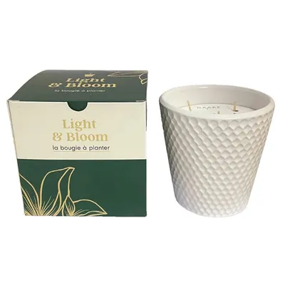 Bougie 70h Fleur d'Oranger et graines