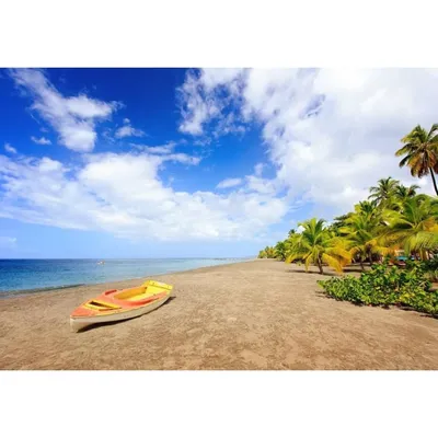 Tableau sur verre synthétique plage Anse Macabou Martinique 65x97 cm PLAGE