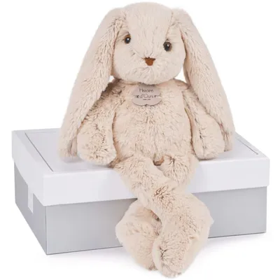 Coffret peluche Lapin Copains câlins beige (40 cm)