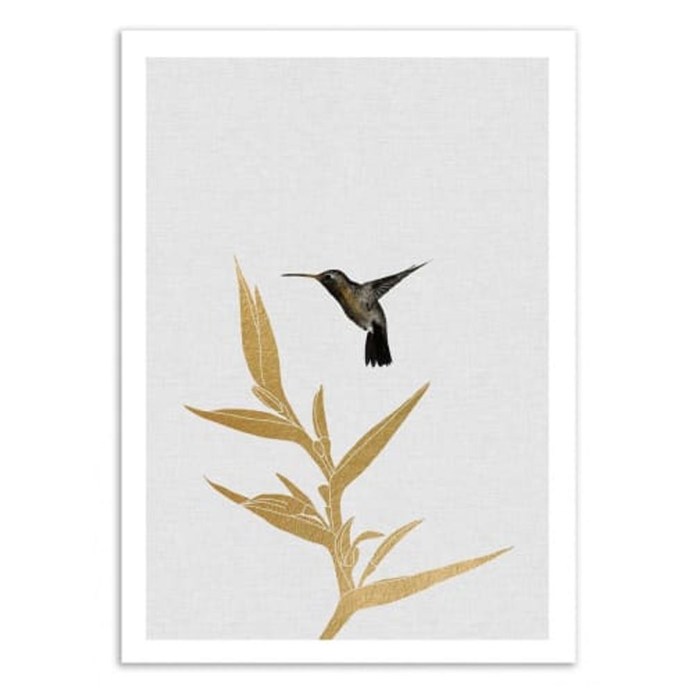 HUMMINGBIRD AND FLOWER -  Affiche d'art 50 x 70 cm | Maisons du Monde