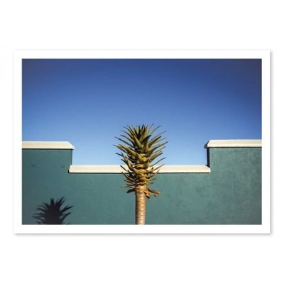 THE DESERT BLOOMS - Affiche d'art 50 x 70 cm - Linda Wride | Maisons du Monde