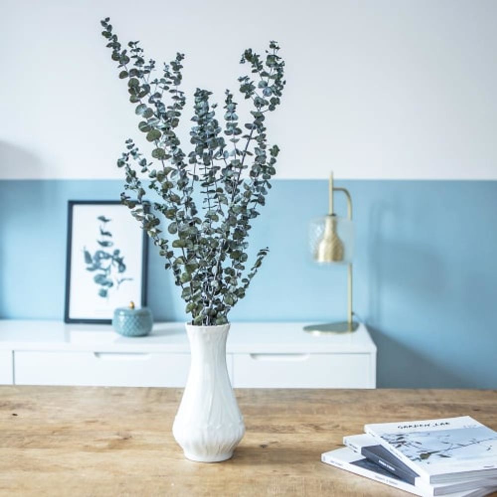 Botte de fleurs séchées eucalyptus baby stabilisé | Maisons du Monde