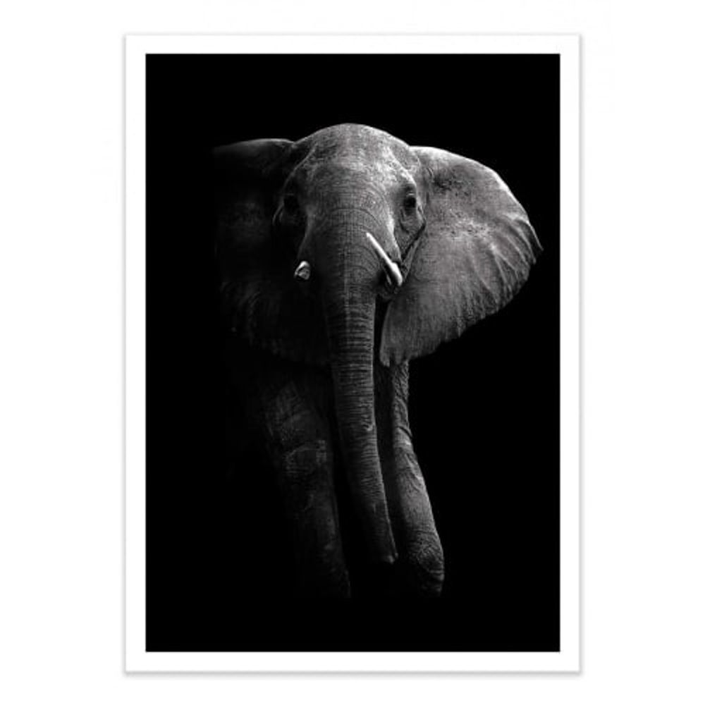 ELEPHANT -  Affiche d'art 50 x 70 cm | Maisons du Monde