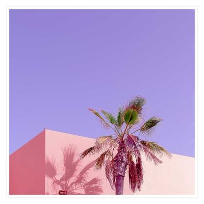Affiche photo pink palma seule | Maisons du Monde