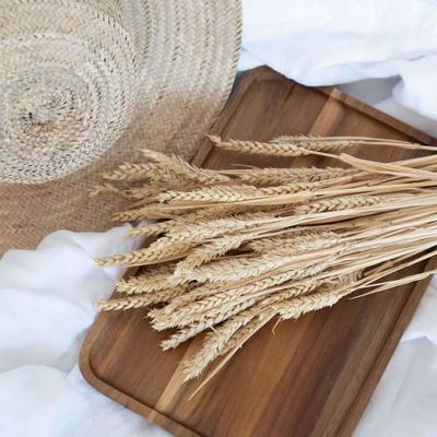 Botte Blé séché naturel | Maisons du Monde