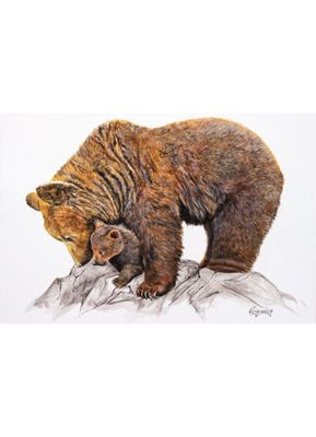Tableau ours brun et ourson 60x40cm | Maisons du Monde