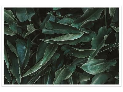 Affiche green leaves Affiche seule | Maisons du Monde