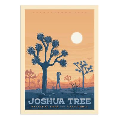 Affiche Joshua Tree National Park  21x29,7 cm | Maisons du Monde