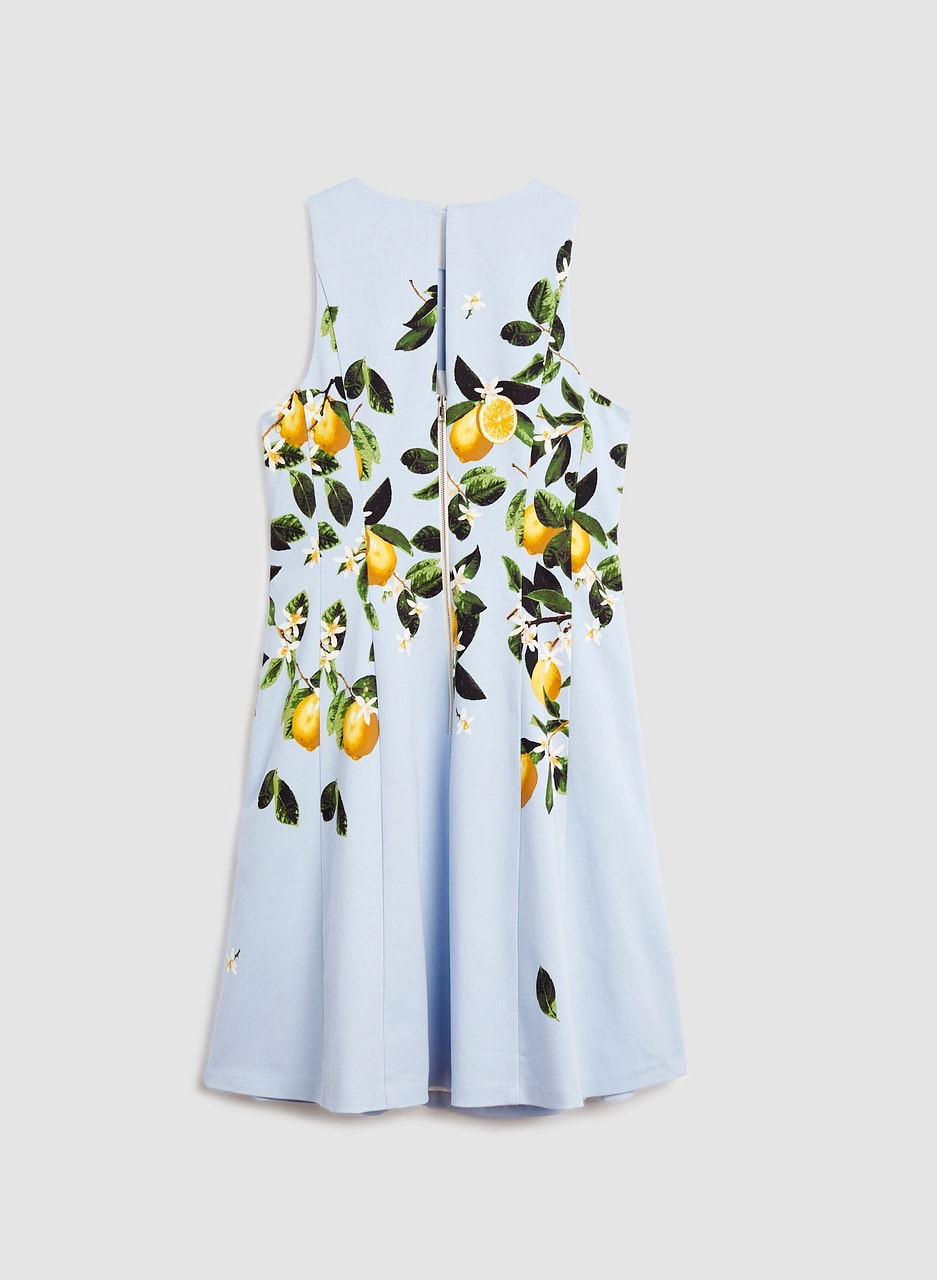 Lemon Print Sleeveless Dress