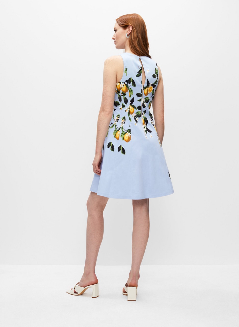 Lemon Print Sleeveless Dress