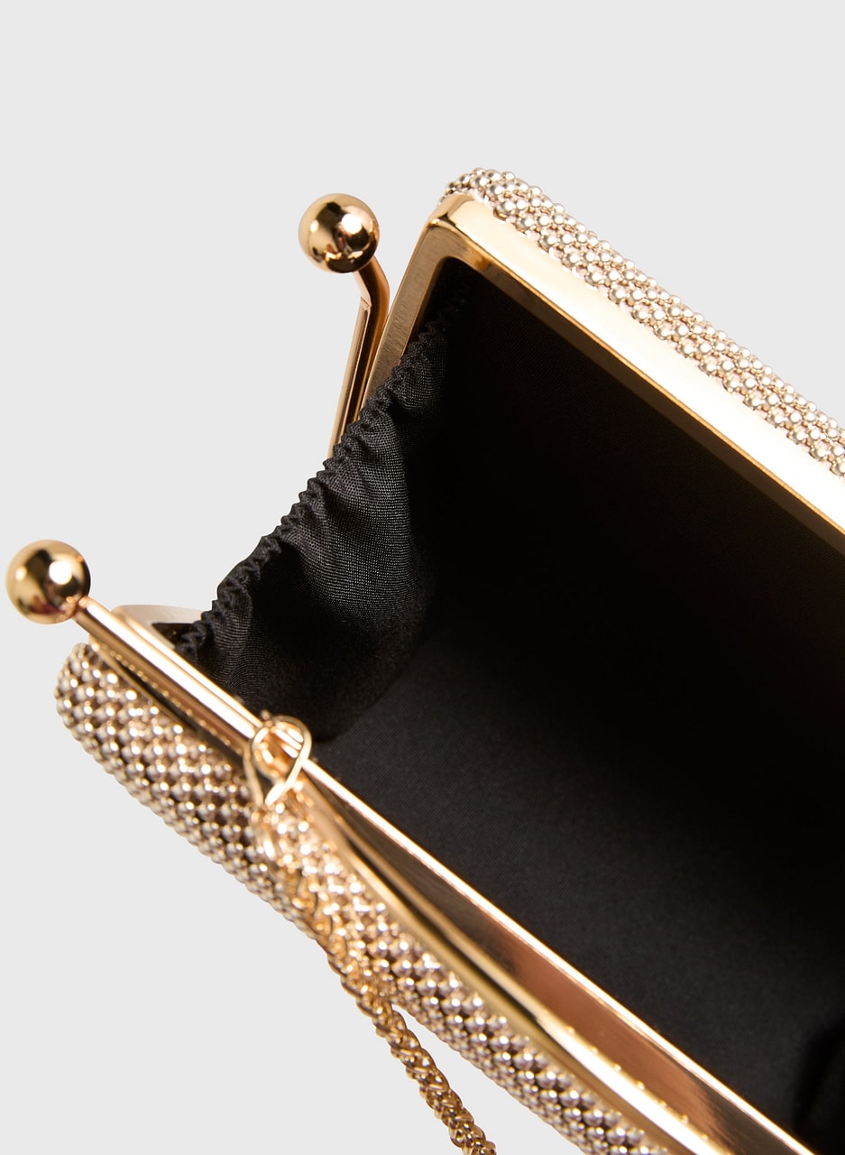 Mesh Detail Clutch