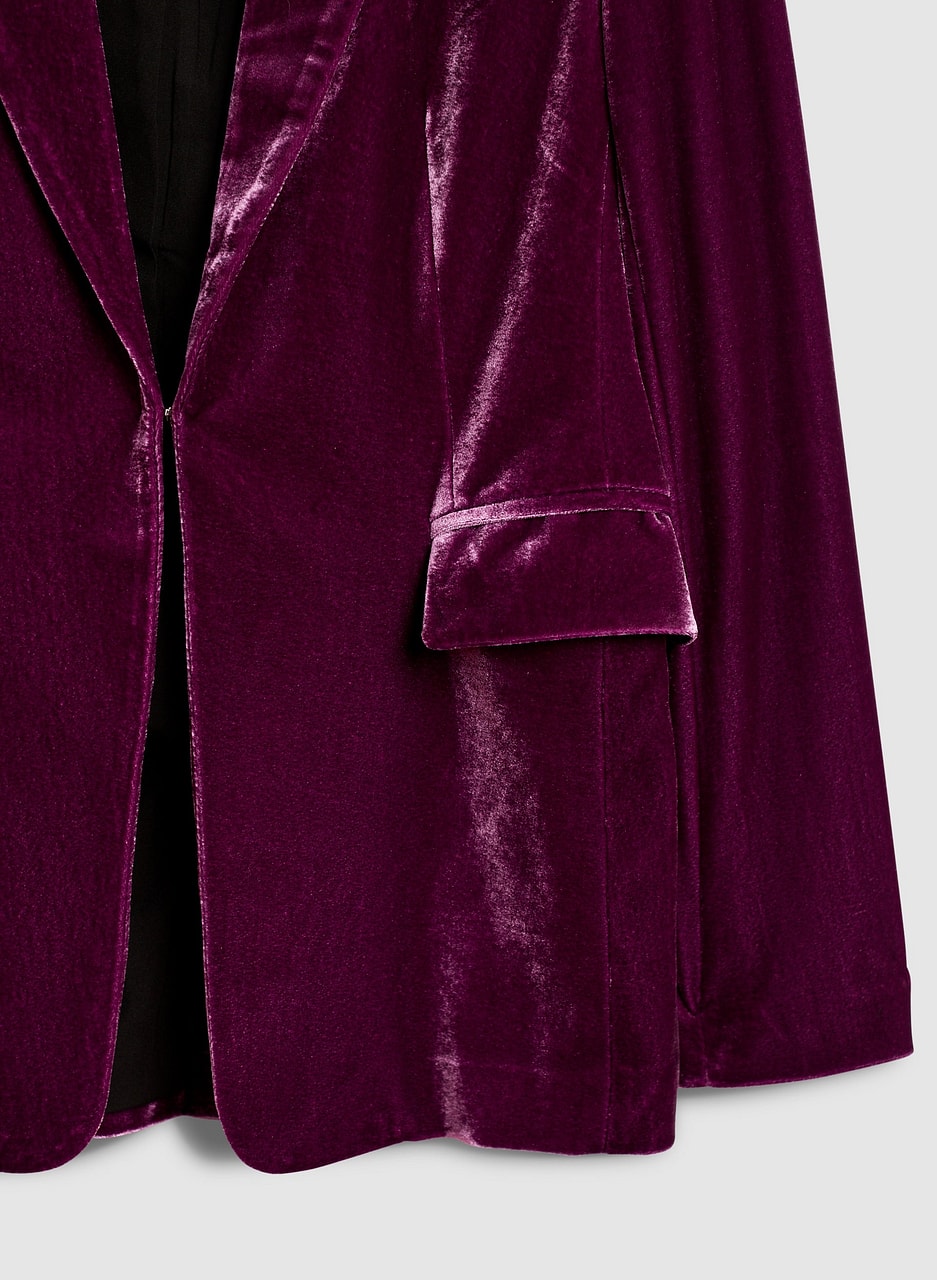 Velvet Blazer