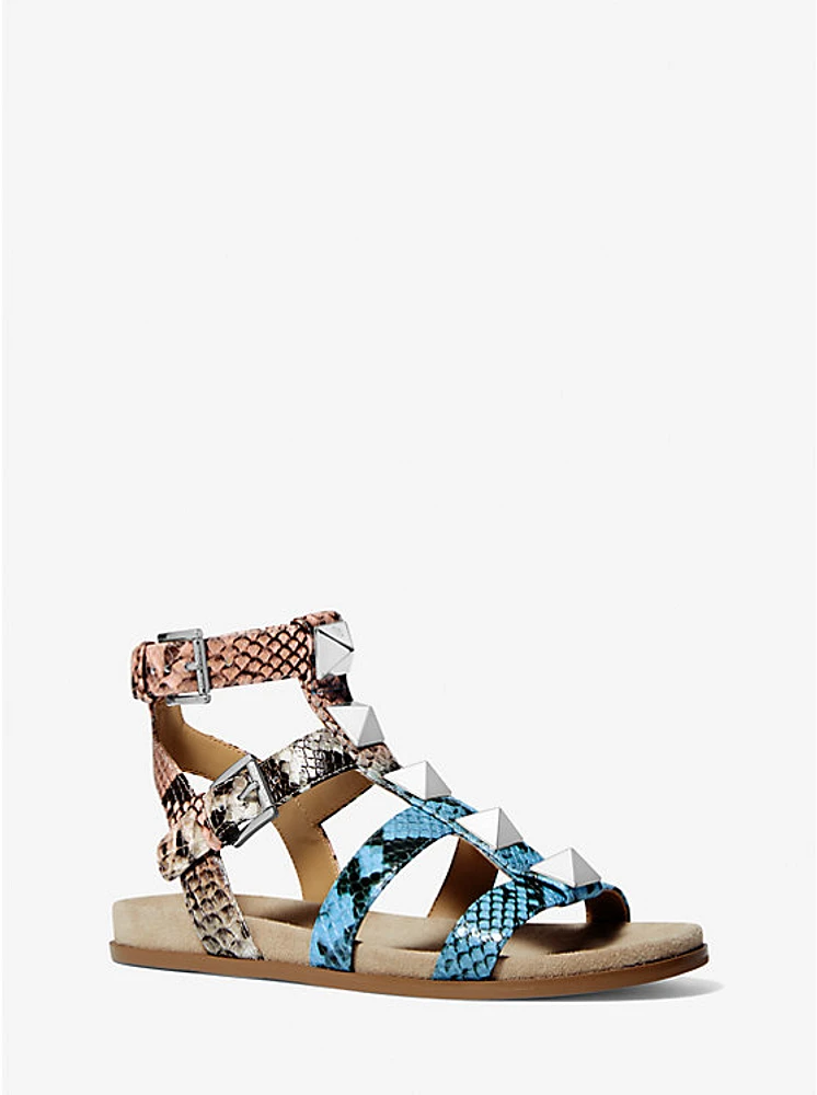 Wren Ombré Snake Embossed Leather Gladiator Sandal