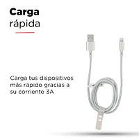 Cable De Carga USB a Lightning Plateado 1 M