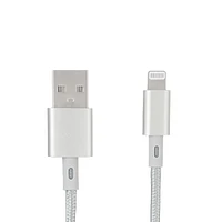 Cable De Carga USB a Lightning Plateado 1 M