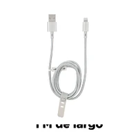 Cable De Carga USB a Lightning Plateado 1 M