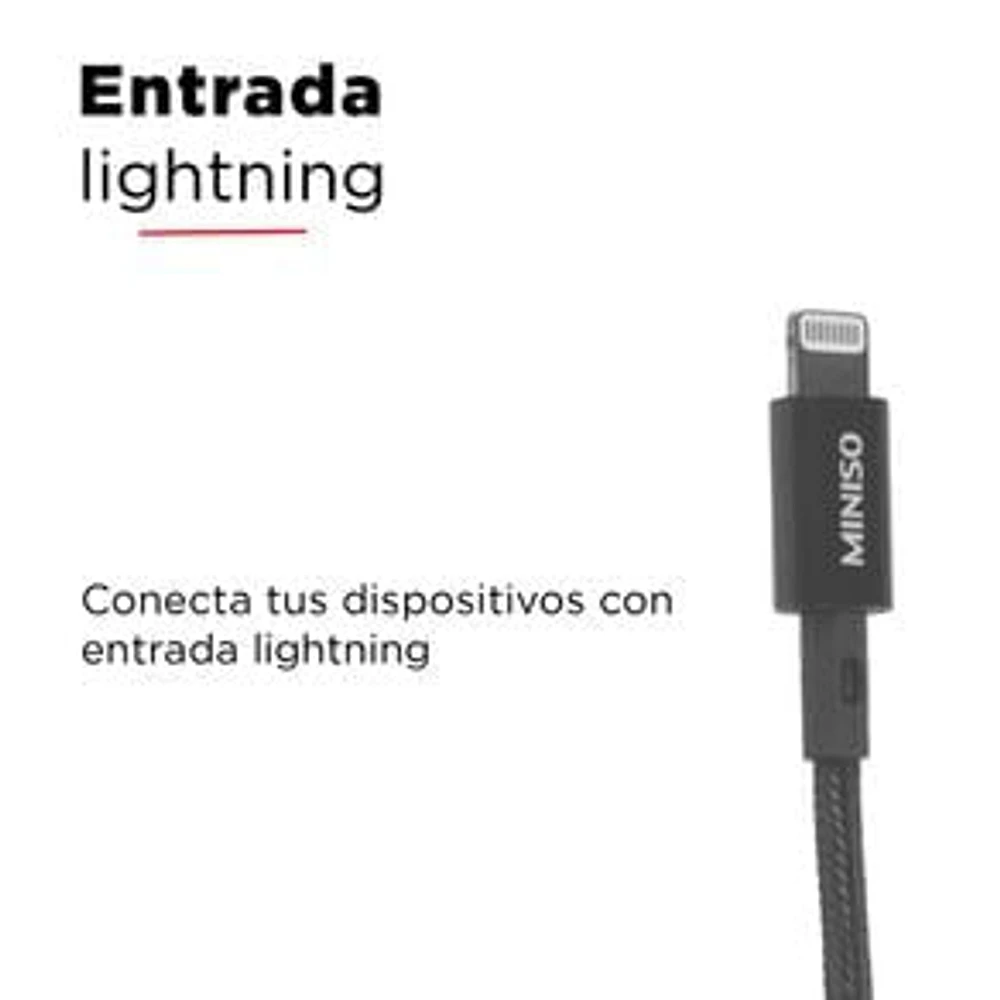 Cable De Carga Rápida USB A Lightning Gris 1 M