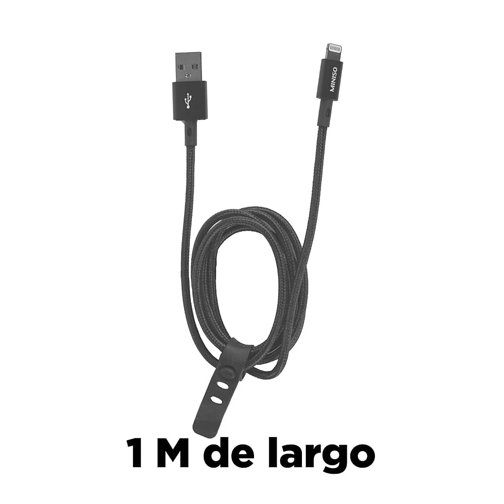 Cable De Carga Rápida USB A Lightning Gris 1 M