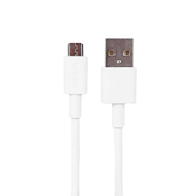 Cable De Datos USB a USBC FPE Flexible Blanco 1 M