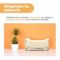 Organizador Mediano Plástico Gris 24.8x17.9x10.5 cm