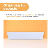 Organizador De Escritorio Plástico Transparente 17x25.5x5 Cm