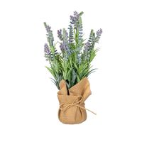 Lavanda en Bolsa