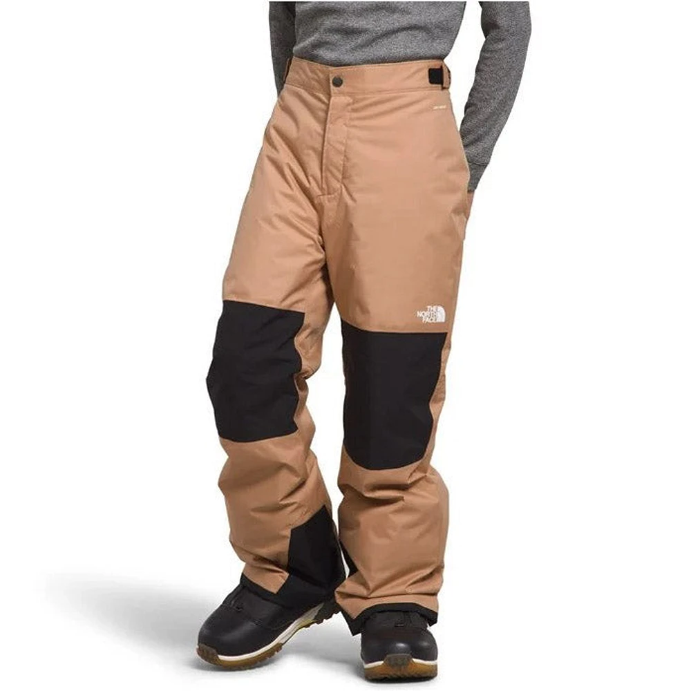 The North Face Boys' Freedom Insulated Pants