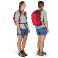 DayLite Daypack