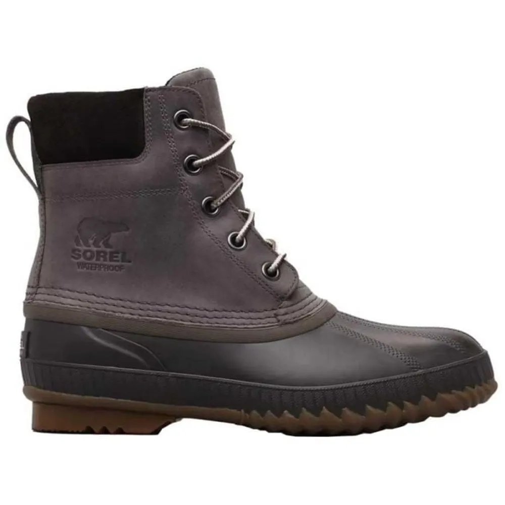 men's cheyanne ii boots