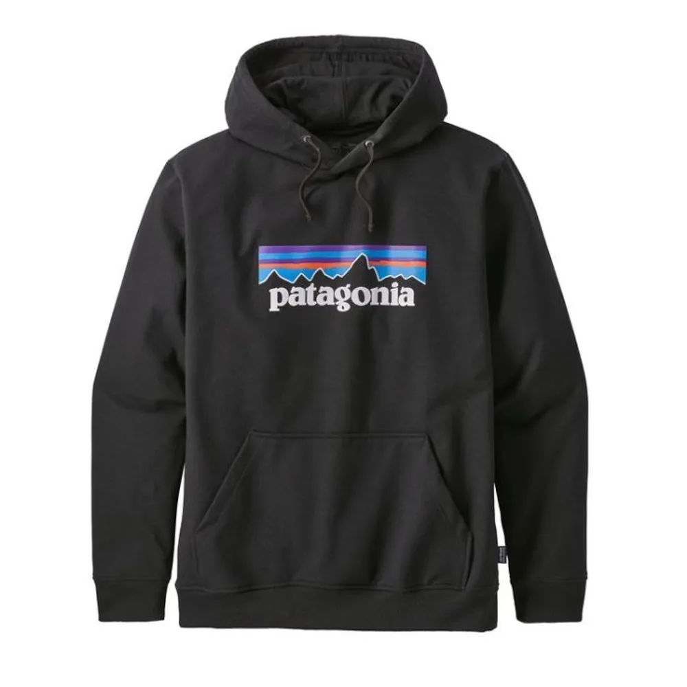 Patagonia Line Logo Ridge Stripe Uprisal Sweatpant - Men's